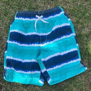Striped Blue and Teal Swim Shorts